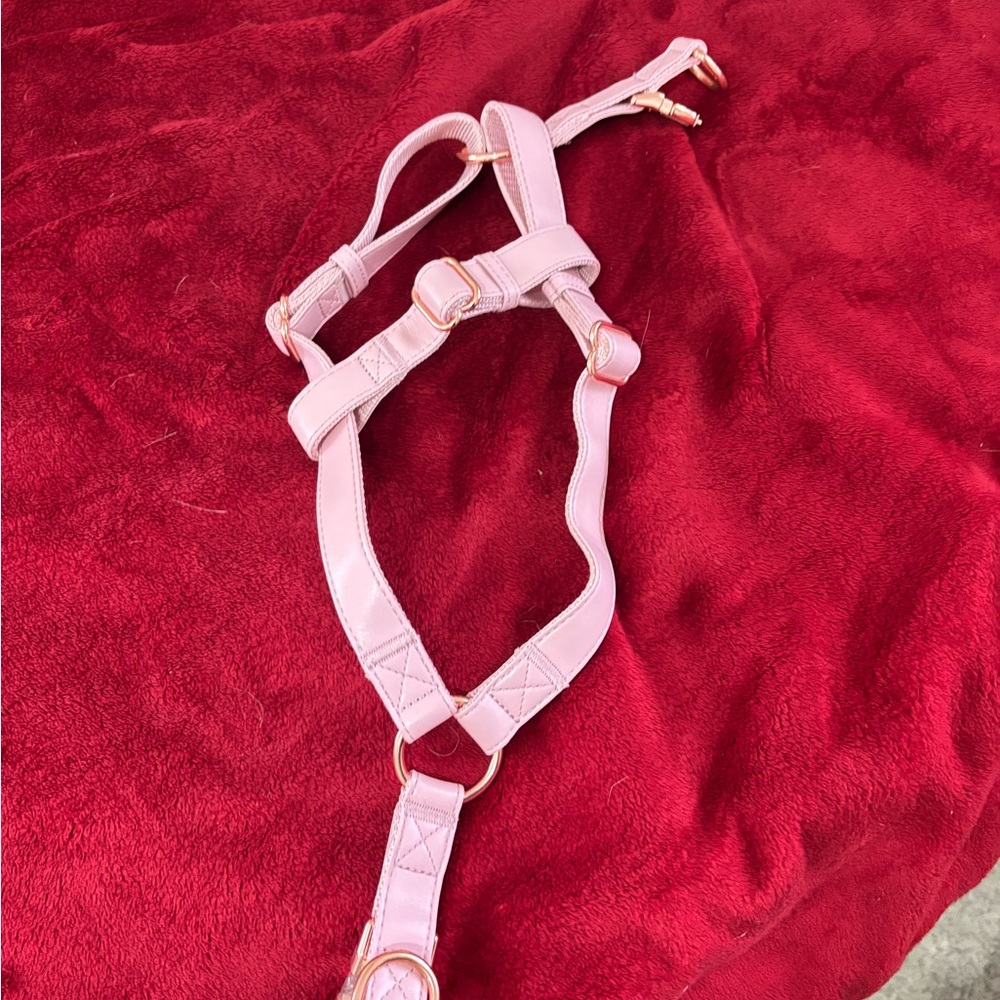 Pink Leather Harness with Rose Gold features